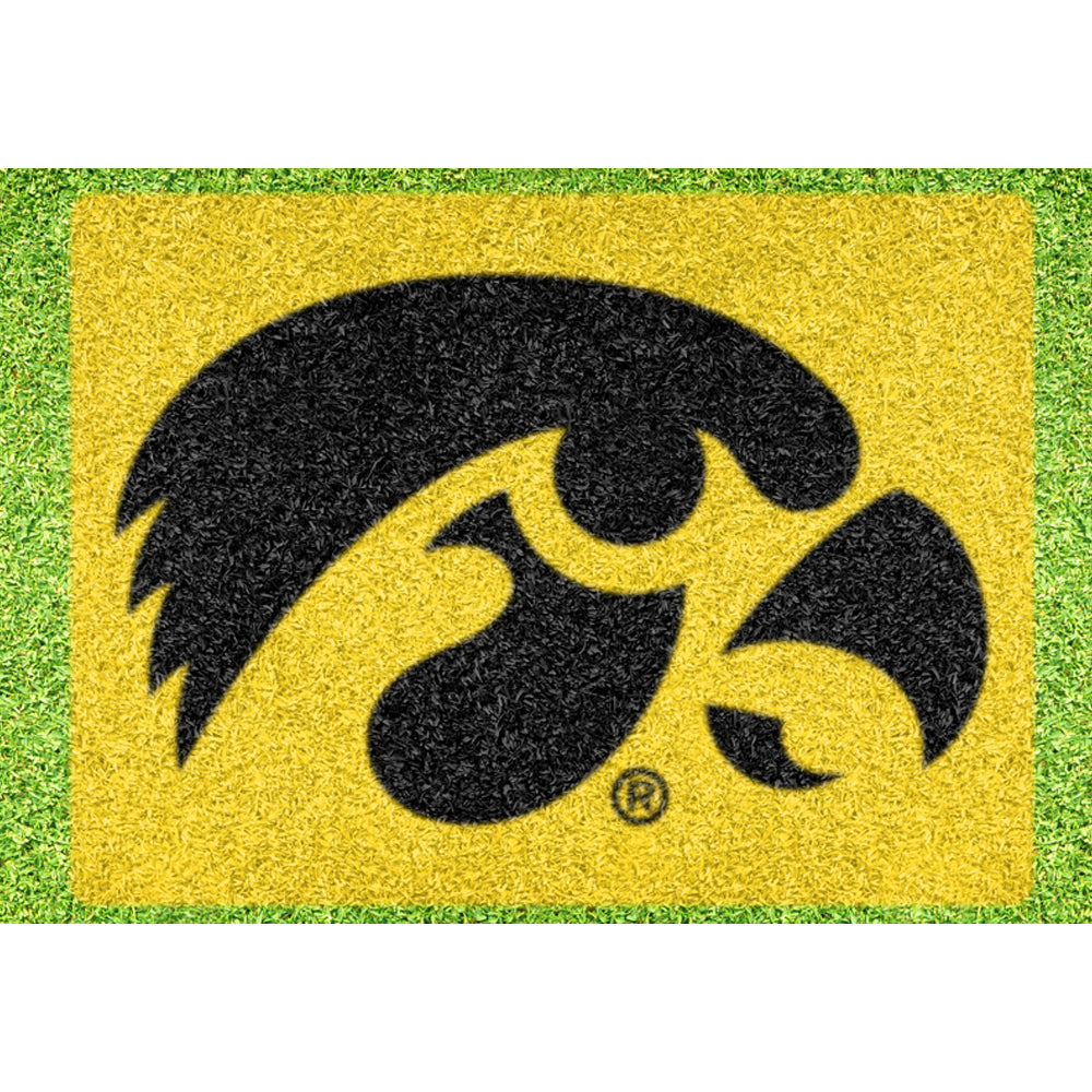 Iowa Hawkeyes 90'' x 67'' Original Stencil Kit