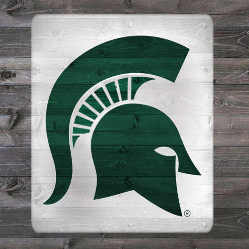 Michigan State Spartans 46.5" x 30" Alternate Tailgater Stencil Kit