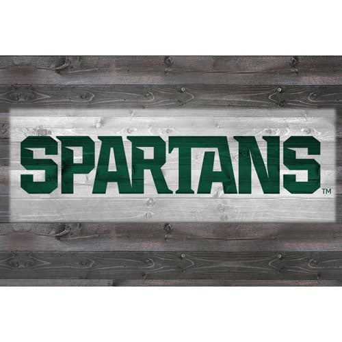 Michigan State Spartans 46.5" x 30" Tailgater Stencil Kit