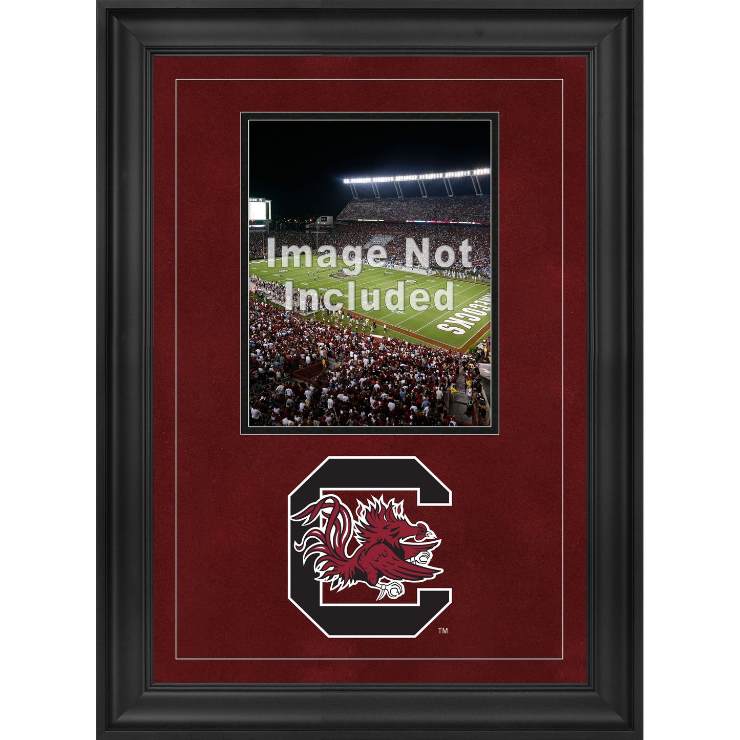 South Carolina Gamecocks 8'' x 10'' Deluxe Vertical Photograph Frame with Team Logo