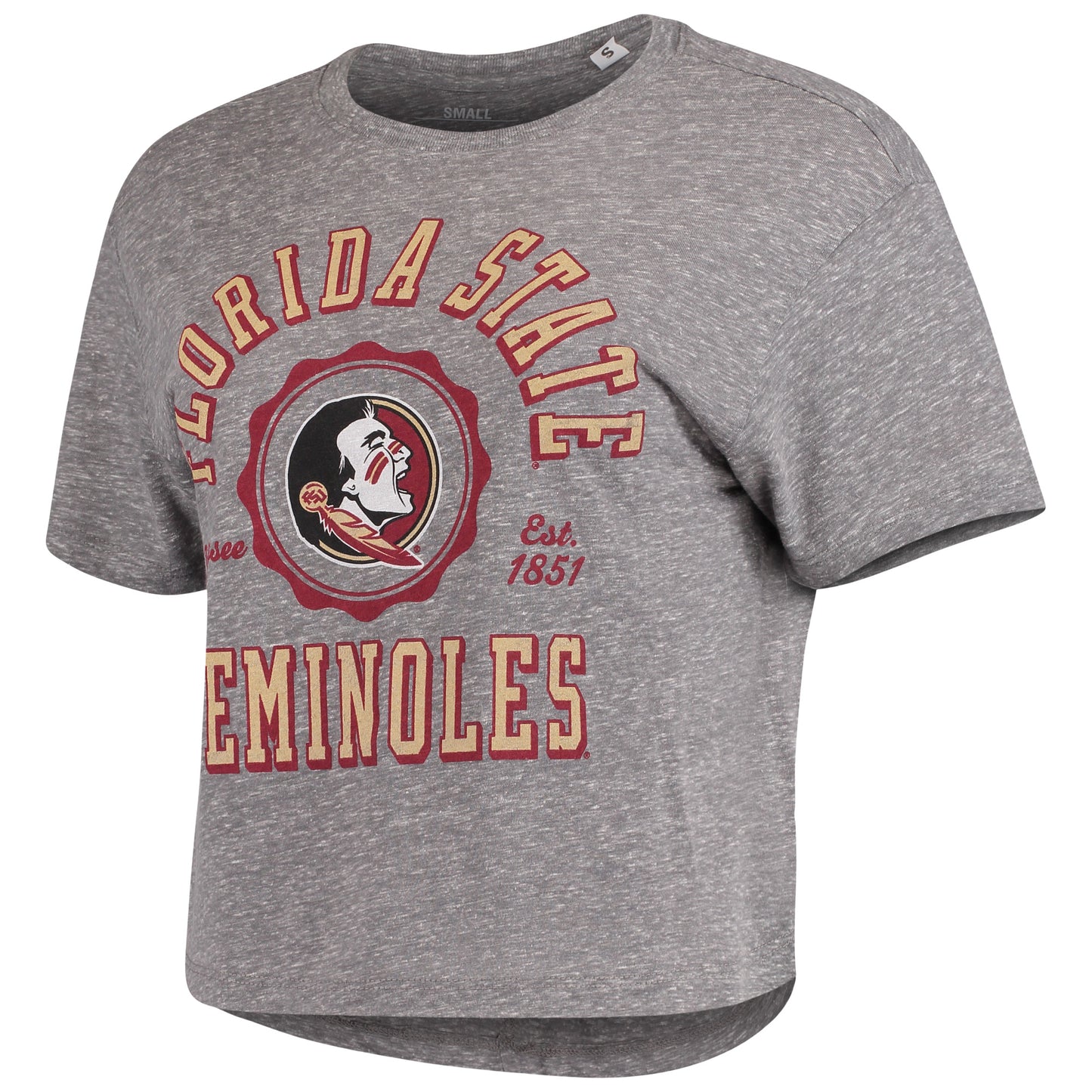 Women's Pressbox Gray Florida State Seminoles Bishop Tri-Blend Knobi Crop T-Shirt