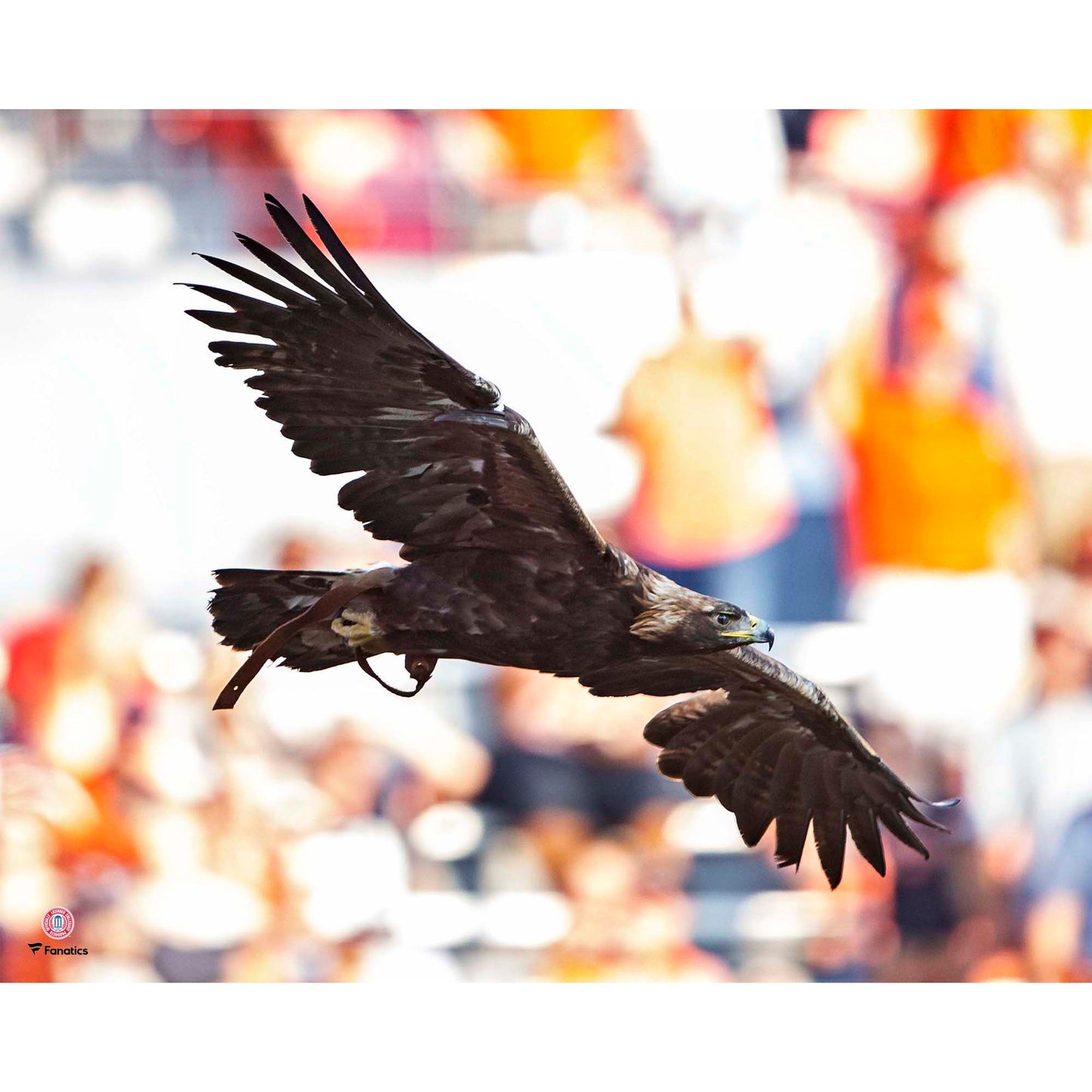 Auburn Tigers Unsigned War Eagle Flying Photograph