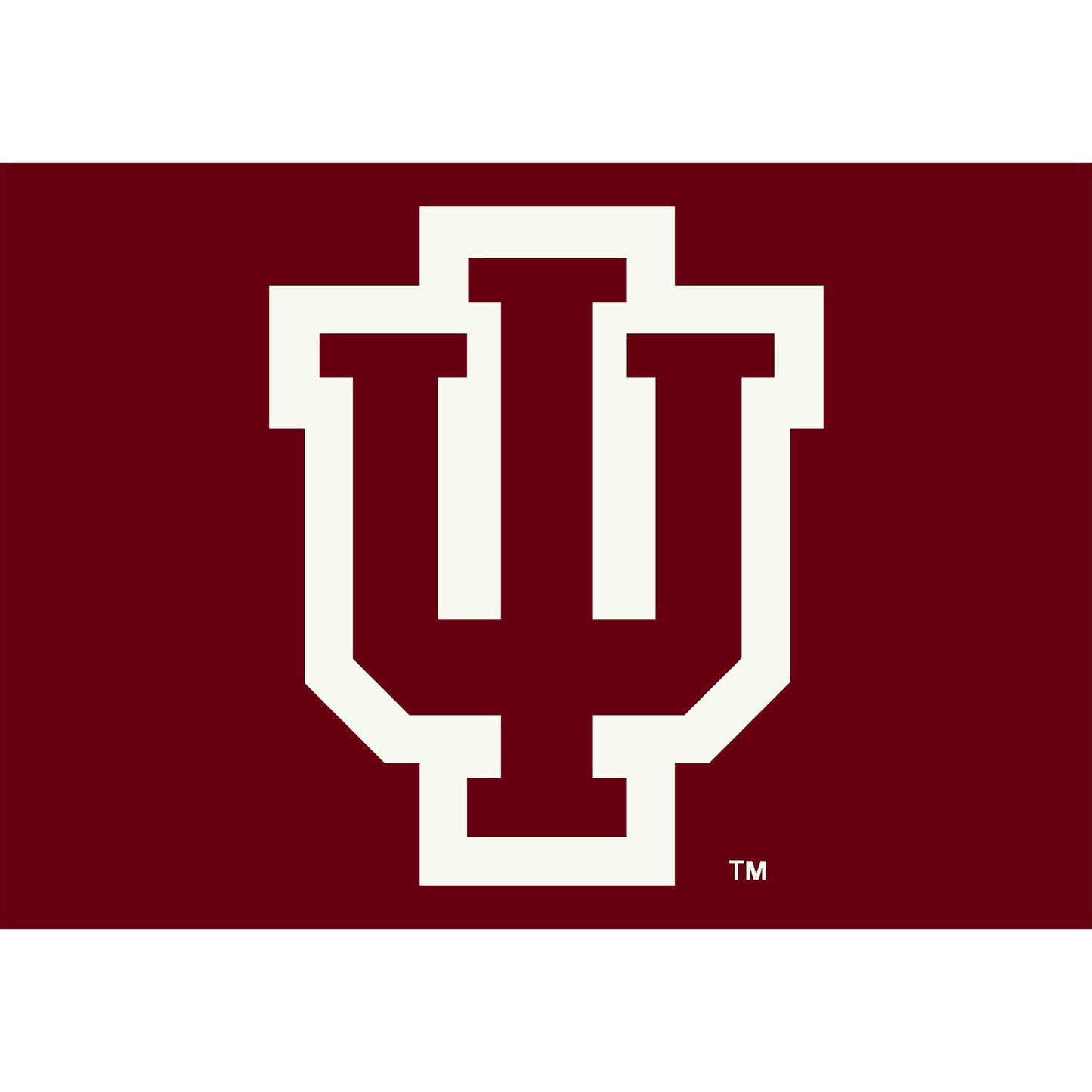 Indiana Hoosiers Imperial 3'10'' x 5'4'' Spirit Rug