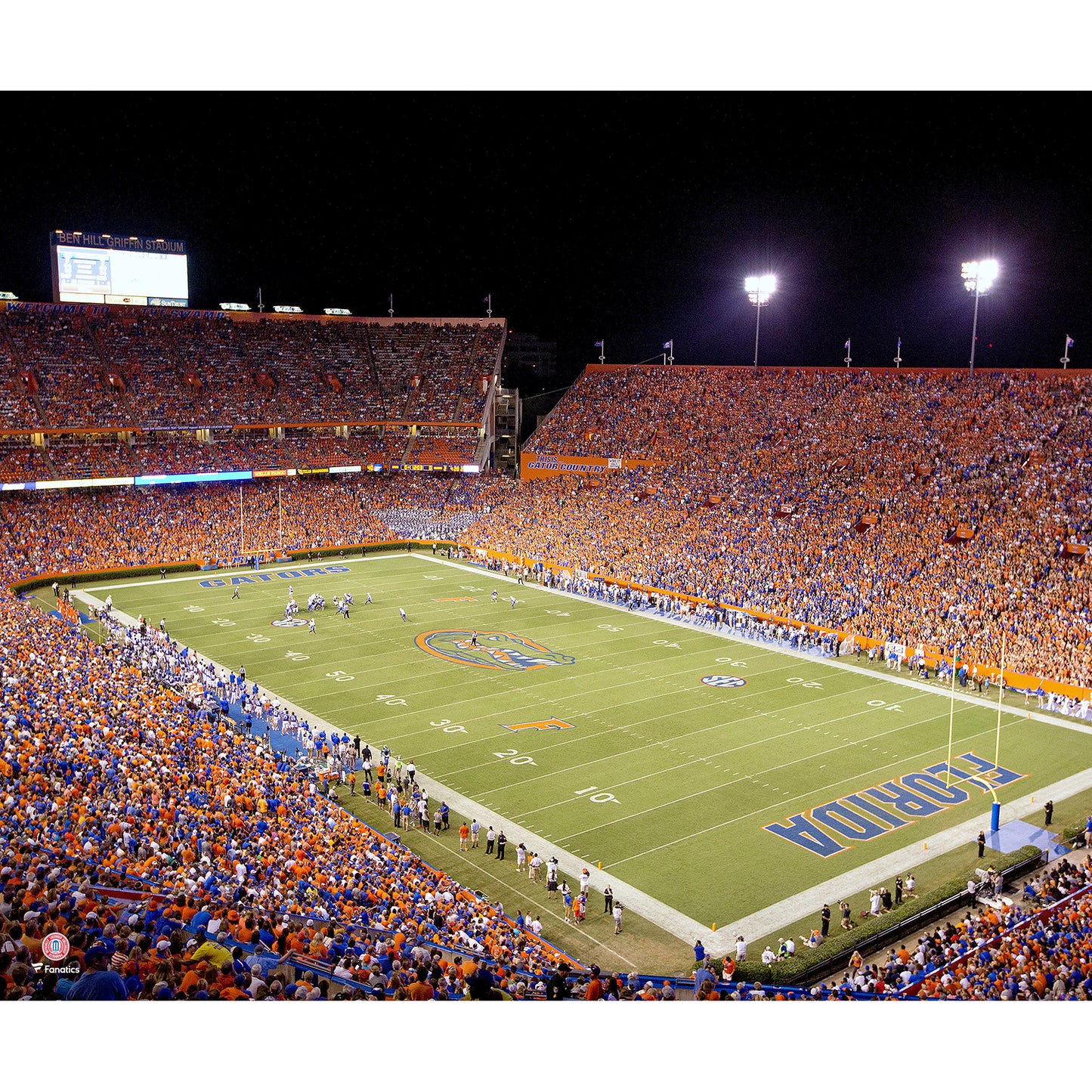 Florida Gators Unsigned Stadium View Photograph