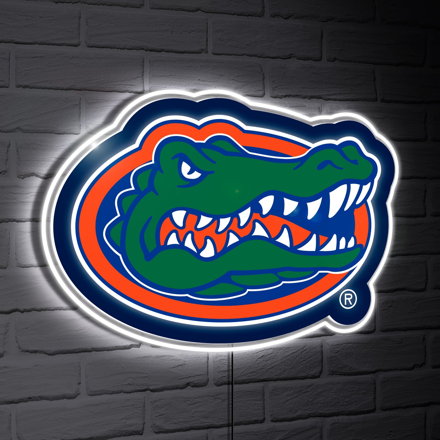 Florida Gators LED Team Logo Shaped Lighted Wall Sign