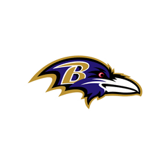 BALTIMORE RAVENS - FOOTBALL FAN