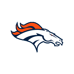 DENVER BRONCOS - FOOTBALL FAN