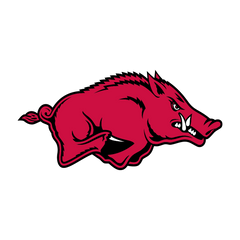 Arkansas Razorbacks - FOOTBALL FAN