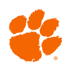 Clemson Tigers - FOOTBALL FAN