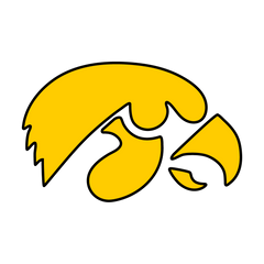 Iowa Hawkeyes - FOOTBALL FAN