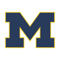 MICHIGAN WOLVERINES - FOOTBALL FAN