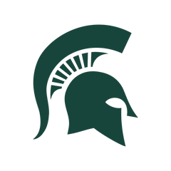 Michigan State Spartans - FOOTBALL FAN