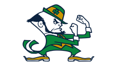 NOTRE DAME FIGHTING IRISH - FOOTBALL FAN