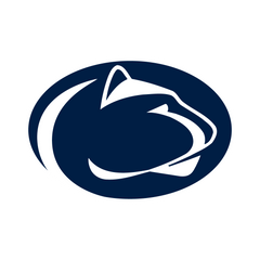 PENN STATE NITTANY LIONS - FOOTBALL FAN