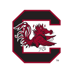 South Carolina Gamecocks - FOOTBALL FAN