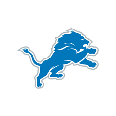 DETROIT LIONS - FOOTBALL FAN