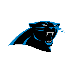 CAROLINA PANTHERS - FOOTBALL FAN