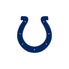 INDIANAPOLIS COLTS - FOOTBALL FAN