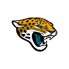 JACKSONVILLE JAGUARS - FOOTBALL FAN