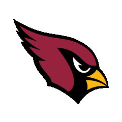 ARIZONA CARDINALS - FOOTBALL FAN