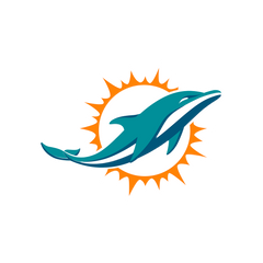 MIAMI DOLPHINS - FOOTBALL FAN