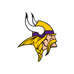 MINNESOTA VIKINGS - FOOTBALL FAN