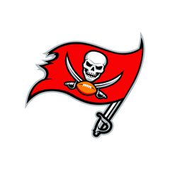 TAMPA BAY BUCCANEERS - FOOTBALL FAN