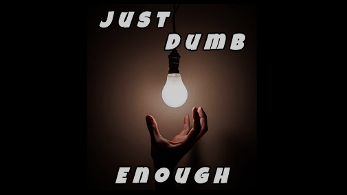 <p>Better Workplaces<br/>(Just Dumb Enough Podcast)</p>