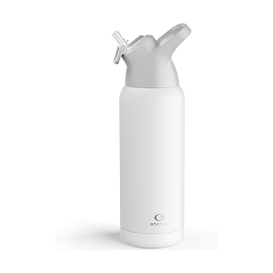 Insulated Water Bottle with Straw