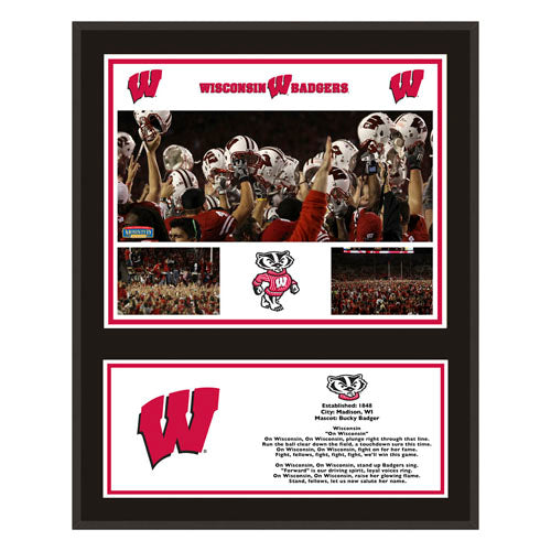 Wisconsin Badgers 12'' x 15'' Sublimated Team Plaque