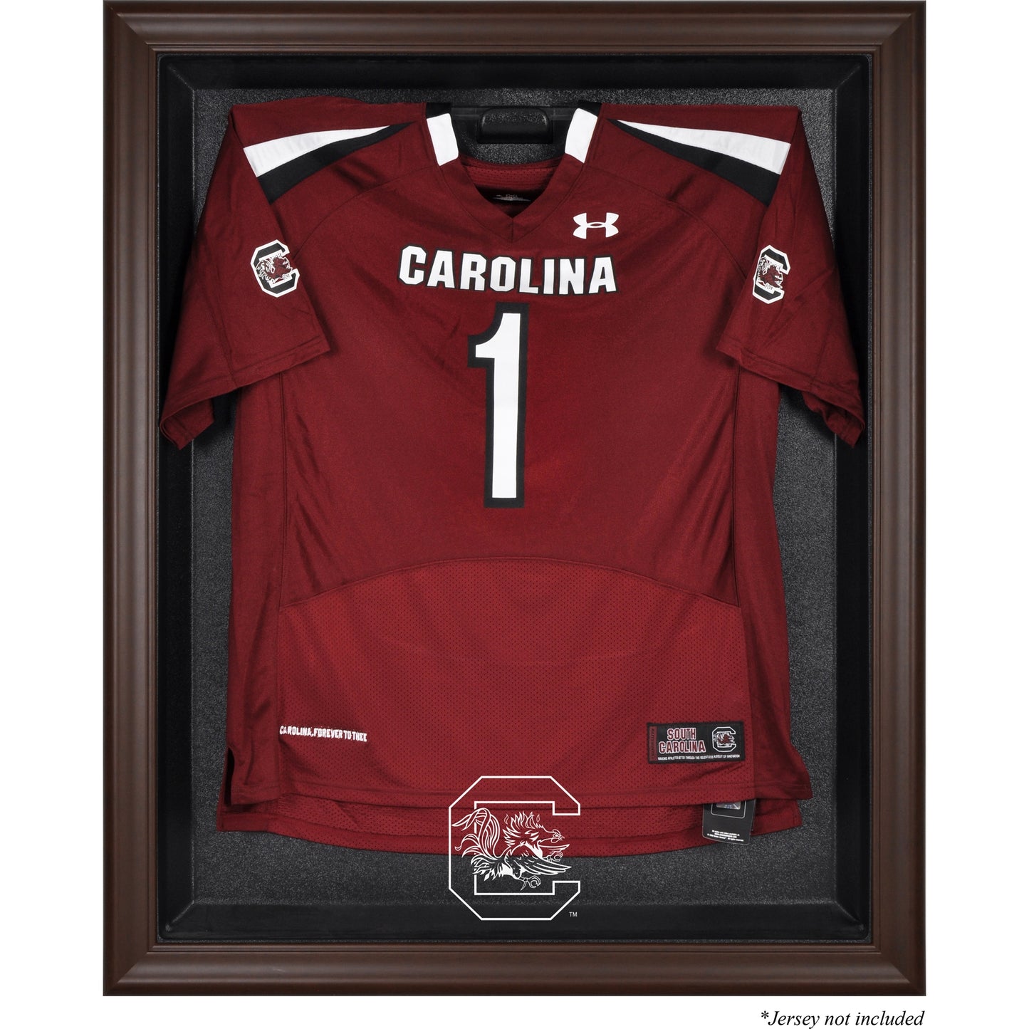 South Carolina Gamecocks Brown Framed Logo Jersey Display Case