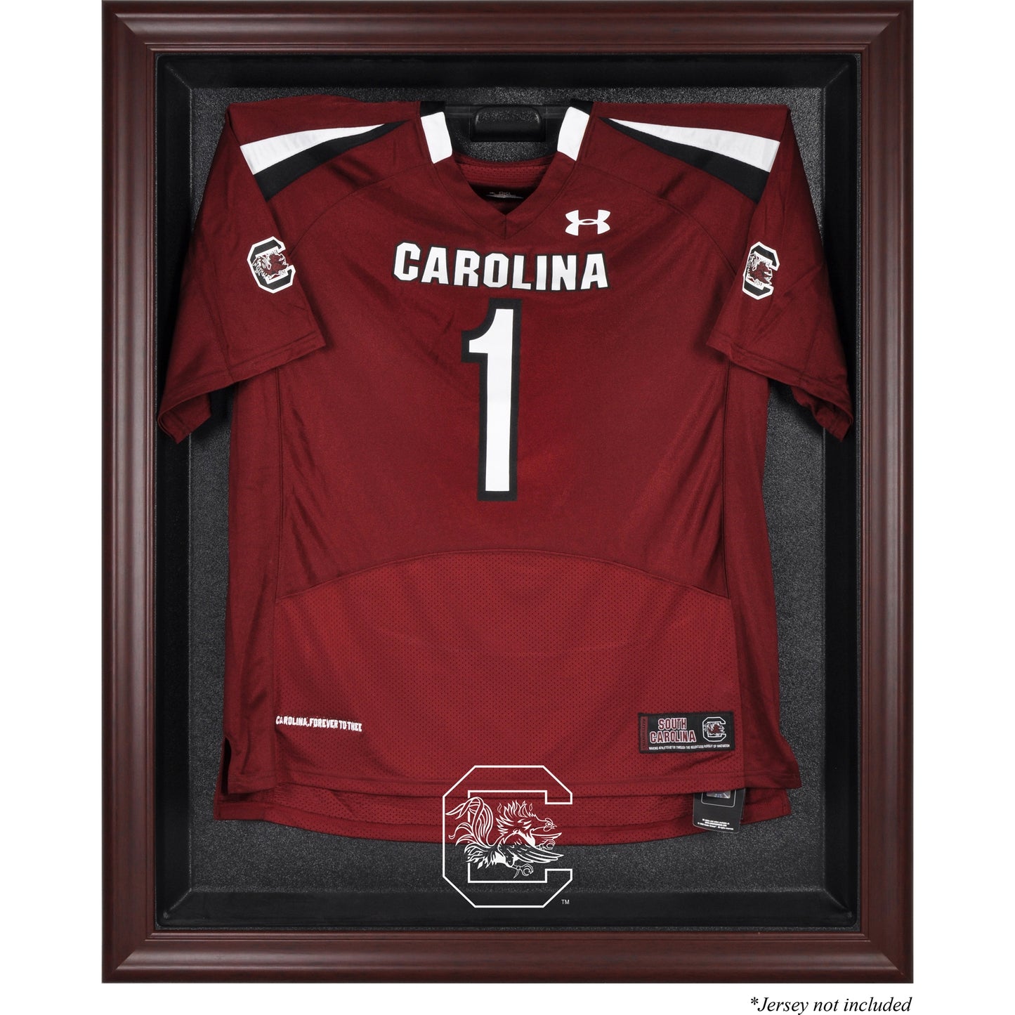 South Carolina Gamecocks Mahogany Framed Logo Jersey Display Case