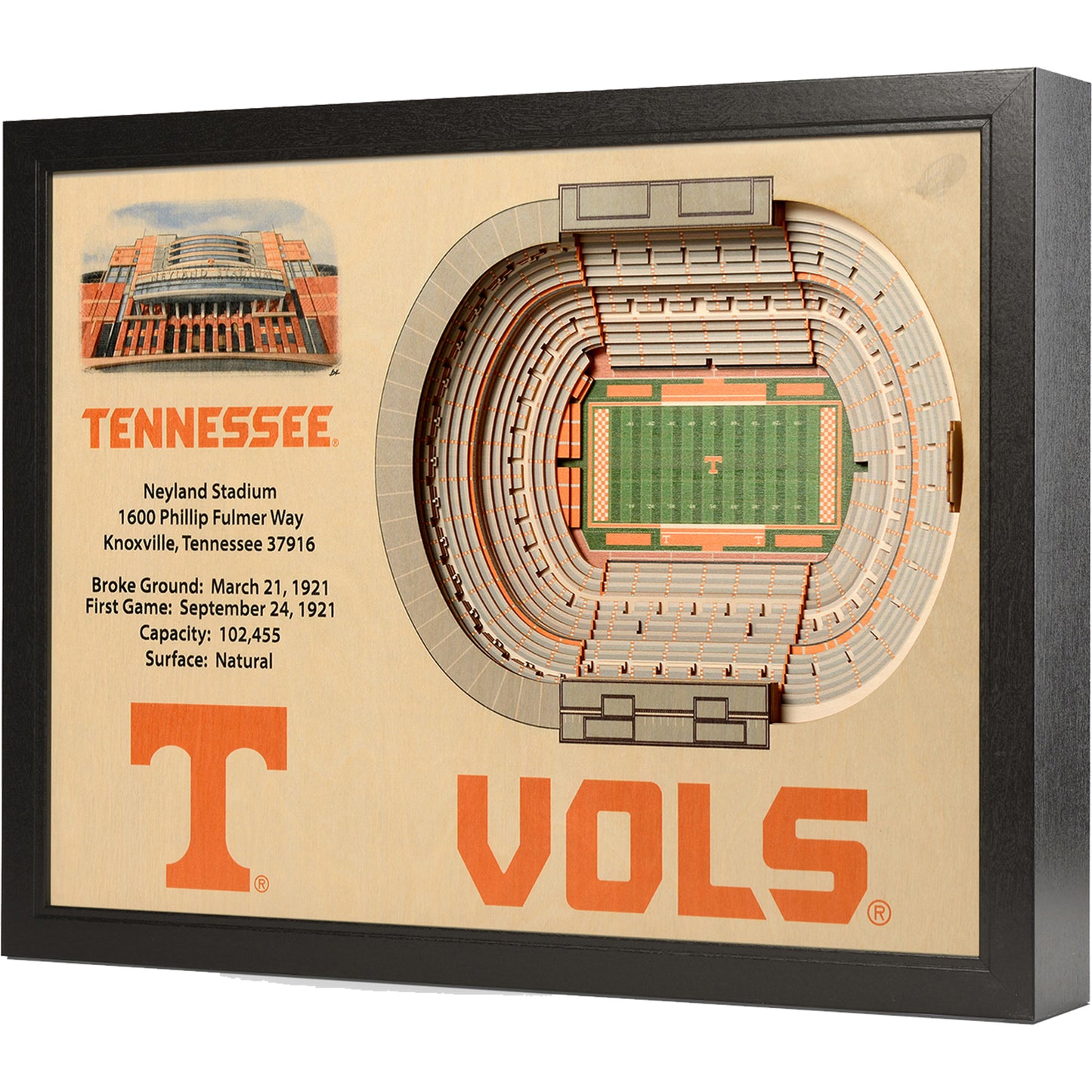 Tennessee Volunteers 25.5" x 19.5" Neyland Stadium Stadium Views Wall Art