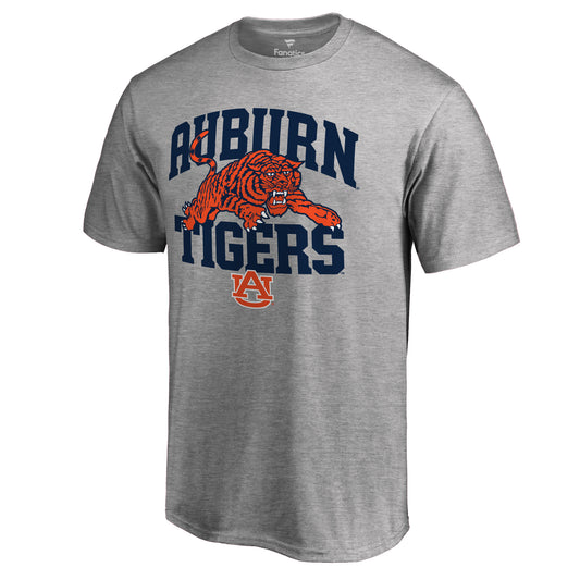 Men's Ash Auburn Tigers Stripes Hometown Collection T-Shirt
