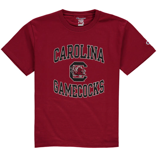 Youth Champion Garnet South Carolina Gamecocks Circling Team Jersey T-Shirt