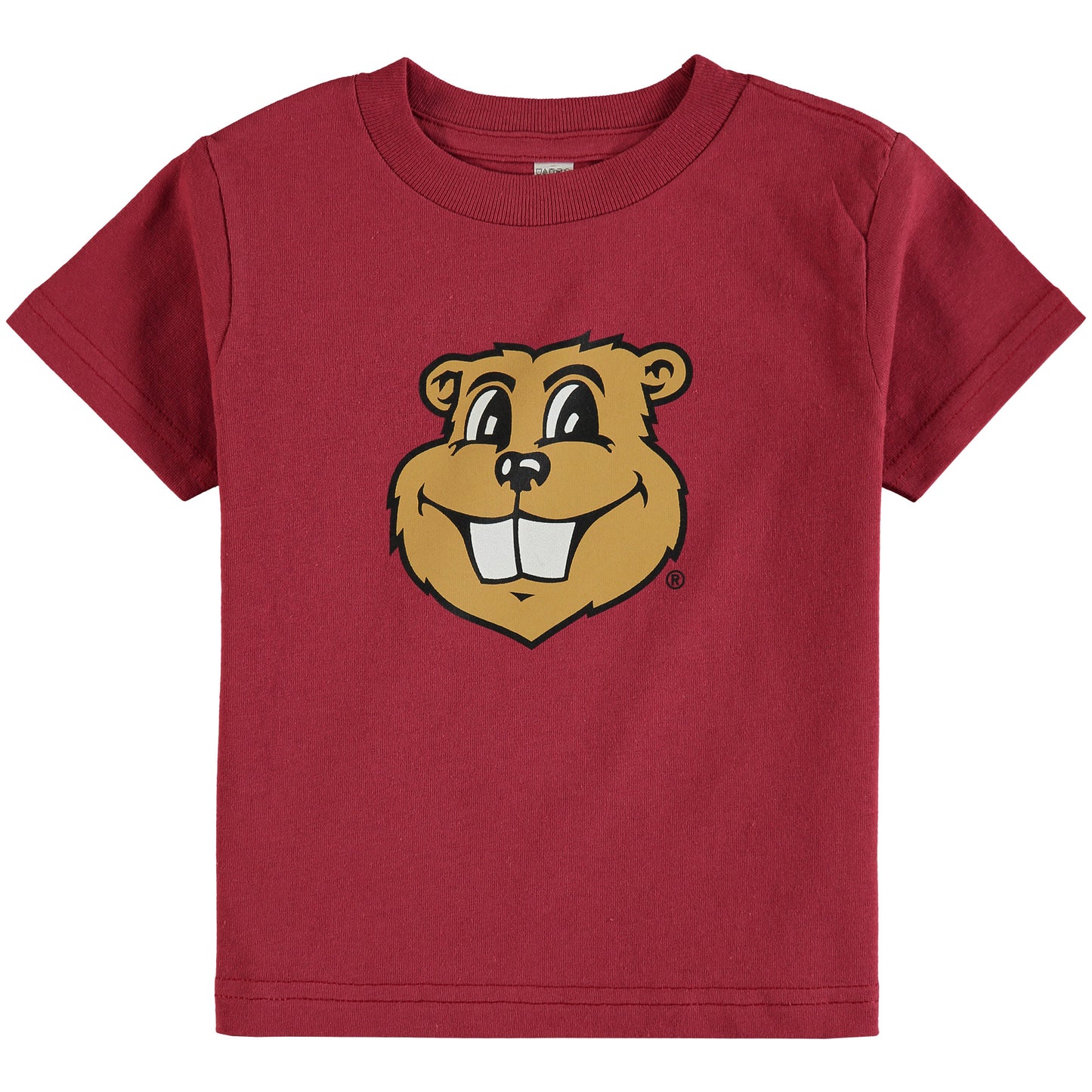 Toddler Maroon Minnesota Golden Gophers Big Logo T-Shirt