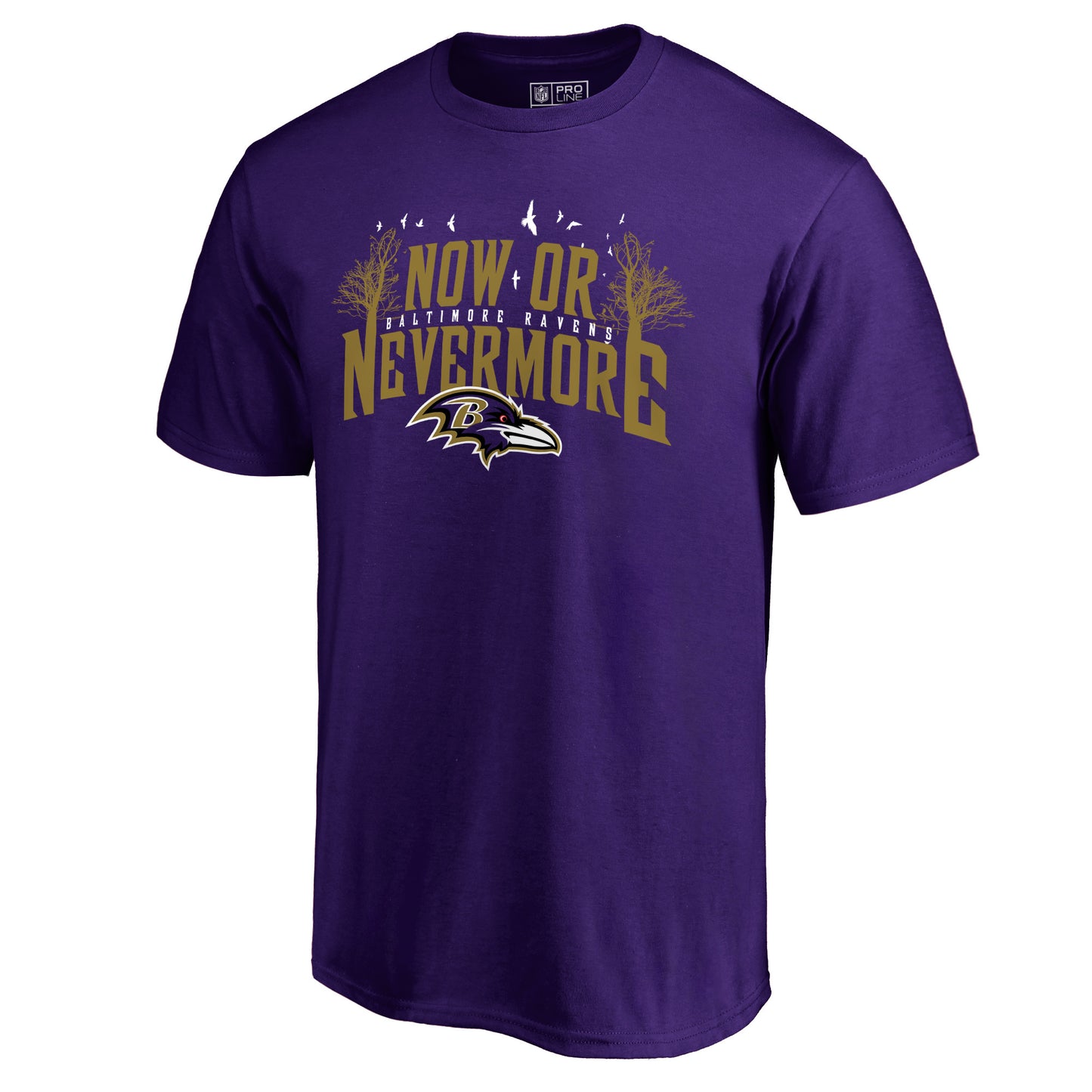 Men's NFL Pro Line Purple Baltimore Ravens Hometown Collection T-Shirt