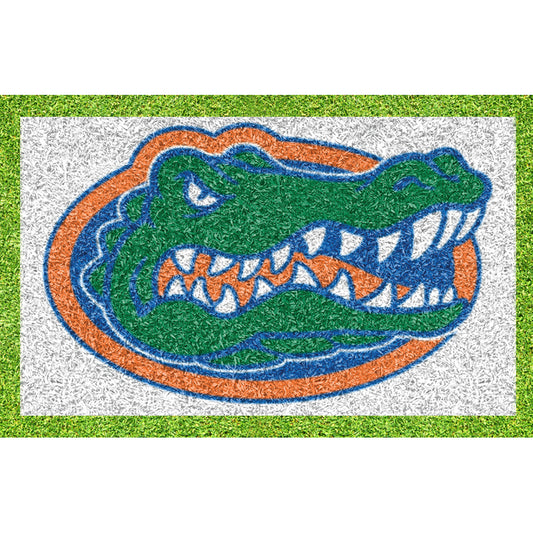 Florida Gators 90'' x 67'' Original Stencil Kit