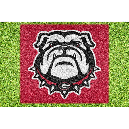 Georgia Bulldogs 66.5'' x 46.5'' Team Original Stencil Kit