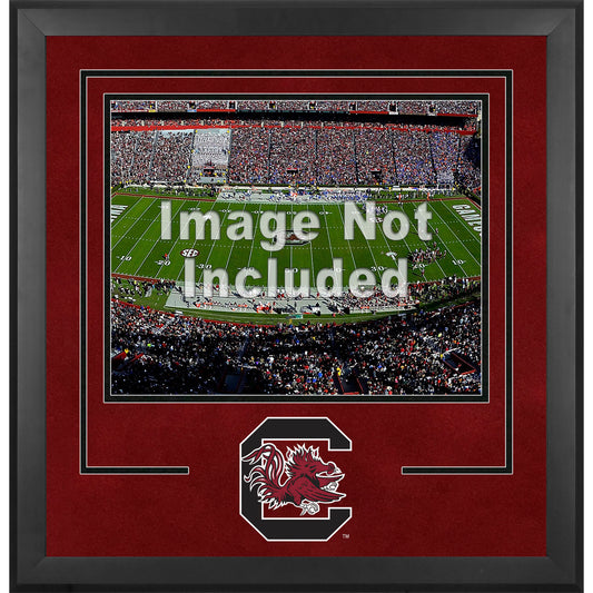 South Carolina Gamecocks Deluxe 16'' x 20'' Horizontal Photograph Frame with Team Logo