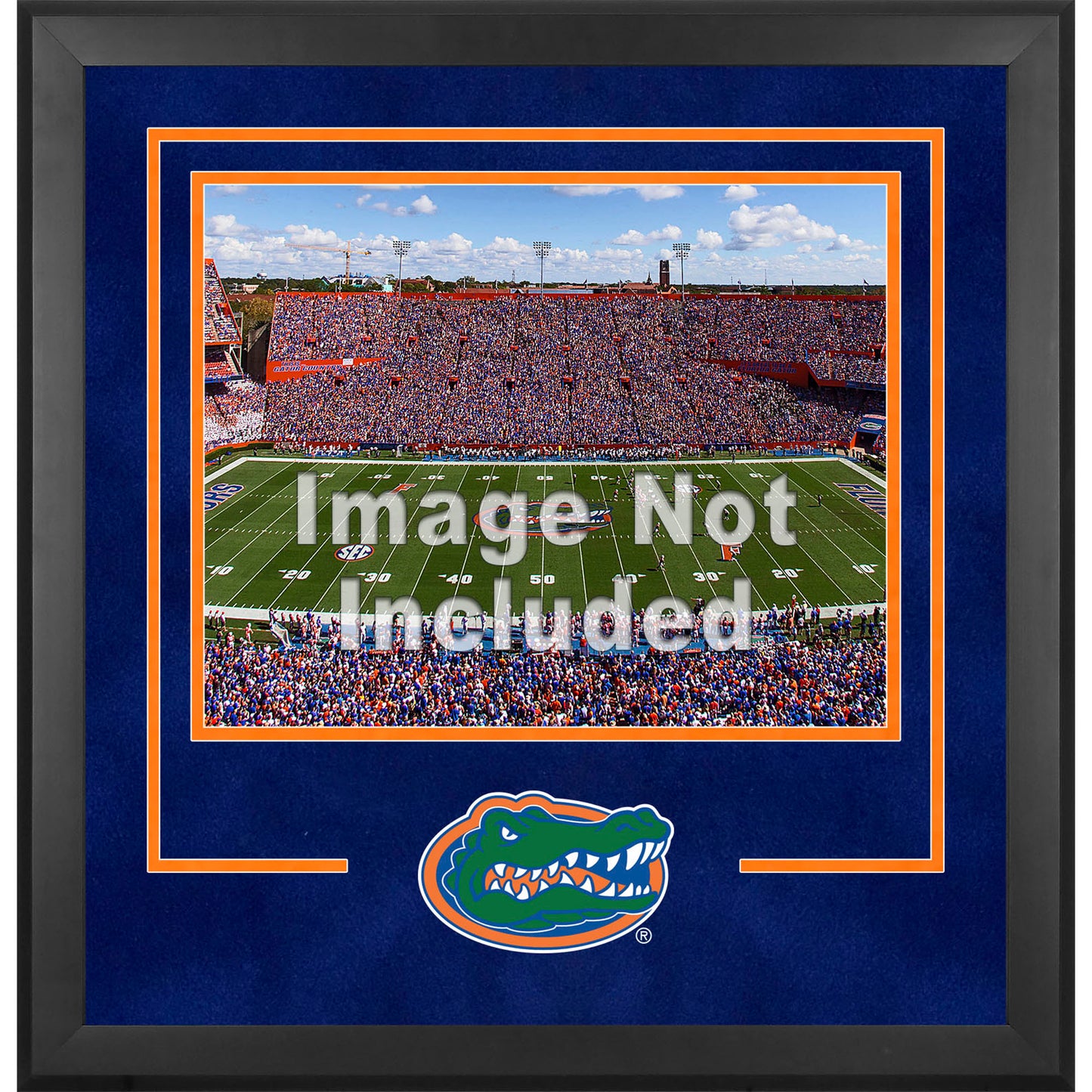 Florida Gators Deluxe 16'' x 20'' Horizontal Photograph Frame with Team Logo