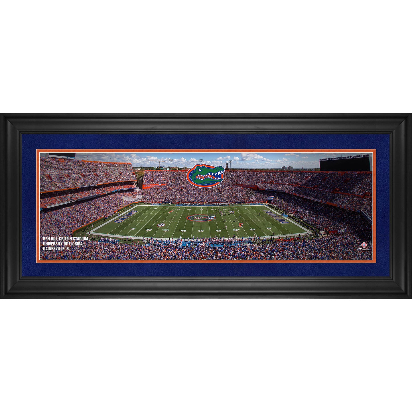 Florida Gators Framed 10" x 30" Ben Hill Griffin Stadium Panoramic Photograph