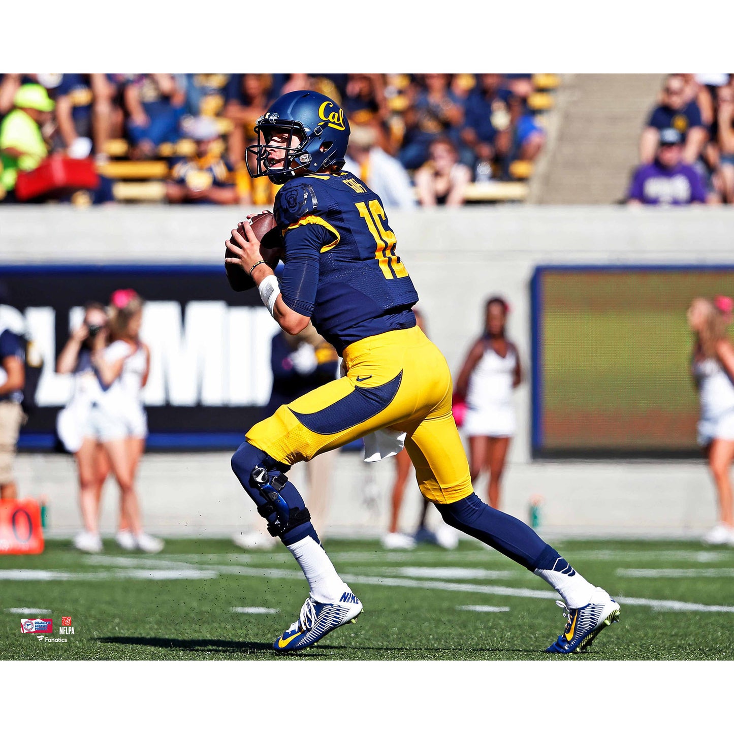 Jared Goff Cal Bears Unsigned Horizontal Planting Throw Photograph