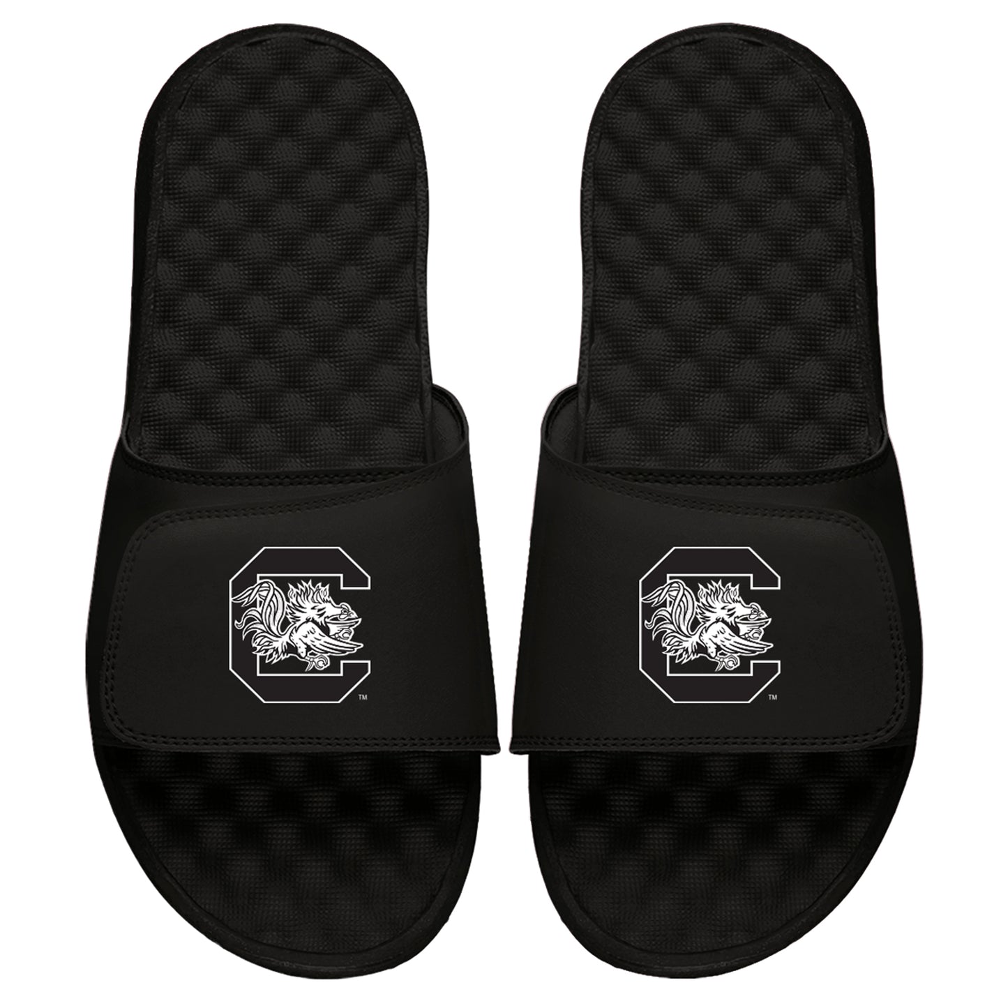 Men's ISlide Black South Carolina Gamecocks Primary Logo Slide Sandals