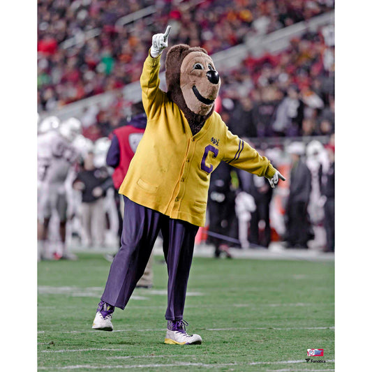 Cal Bears Unsigned Oski Entertaining Crowd Photograph