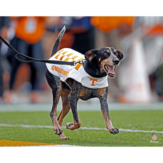 Tennessee Volunteers Unsigned Smokey Running Photograph