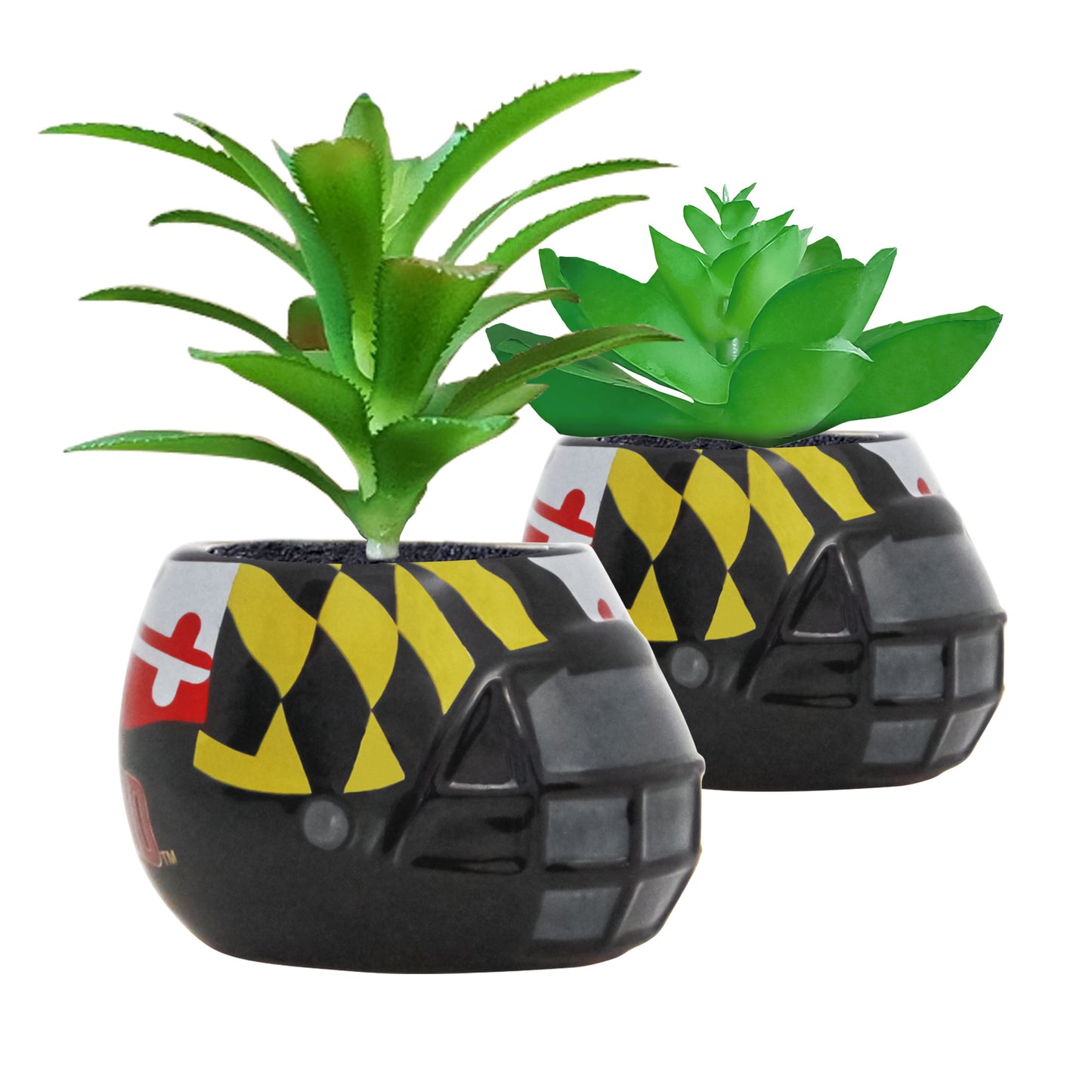 Maryland Terrapins 2-Piece Ceramic Helmet with Faux Succulent Set