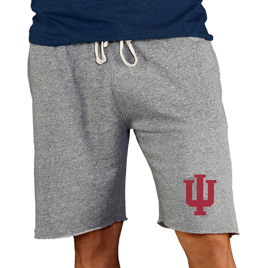 Men's Concepts Sport Gray Indiana Hoosiers Mainstream Terry Shorts