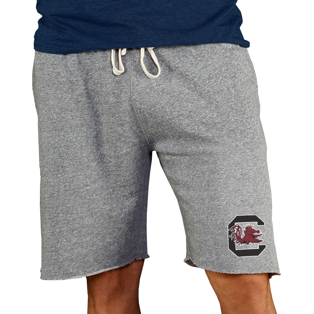 Men's Concepts Sport Gray South Carolina Gamecocks Mainstream Terry Shorts