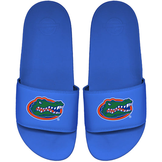 Men's ISlide Royal Florida Gators Primary Motto Slide Sandals